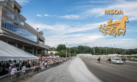 The Meadows announces pop-up series for 2YOs 