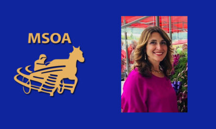 MSOA APPOINTS NEW DIRECTOR OF MARKETING