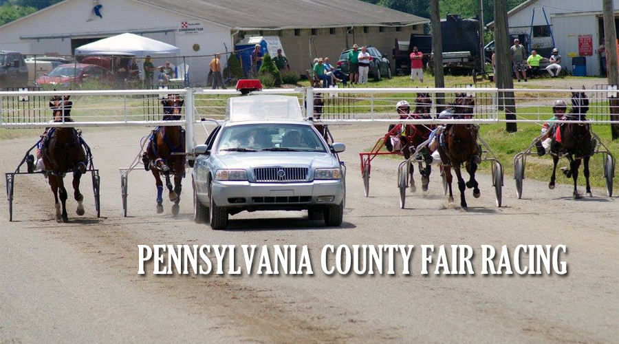 State releases 2021 Fair Schedule