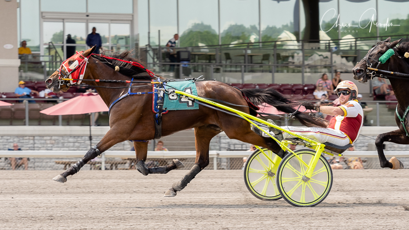 Keystone Abbey wins $70,000 Currier & Ives Filly Trot