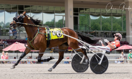 Philly Hanover sets stake record in Adios Betty